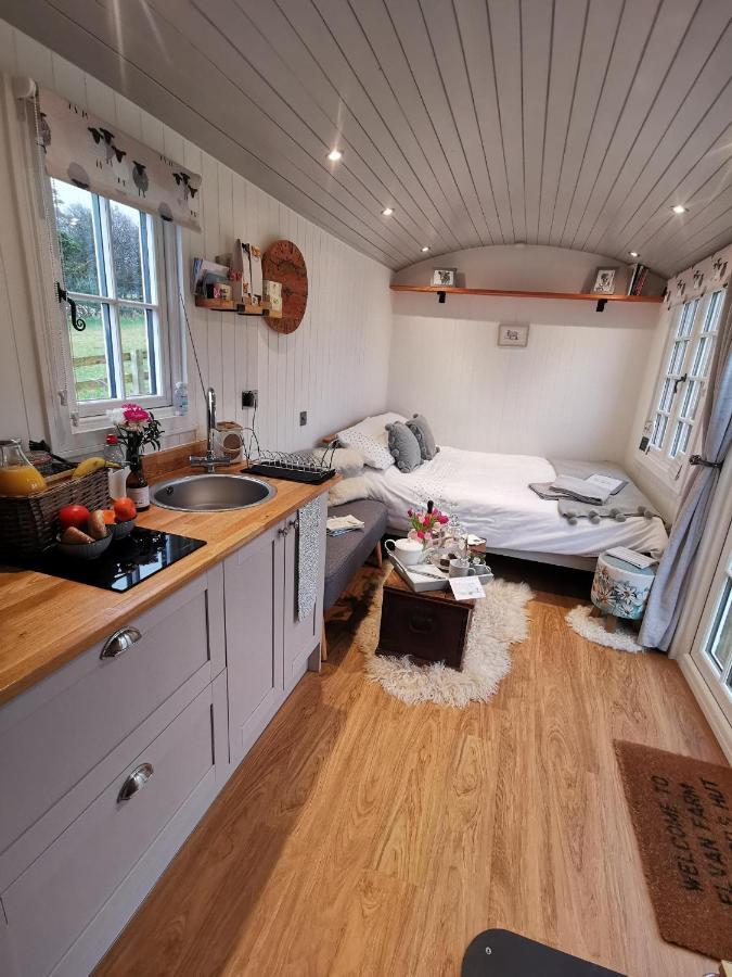Вілла Elvan Farm Shepherd'S Hut Ексетер Екстер'єр фото
