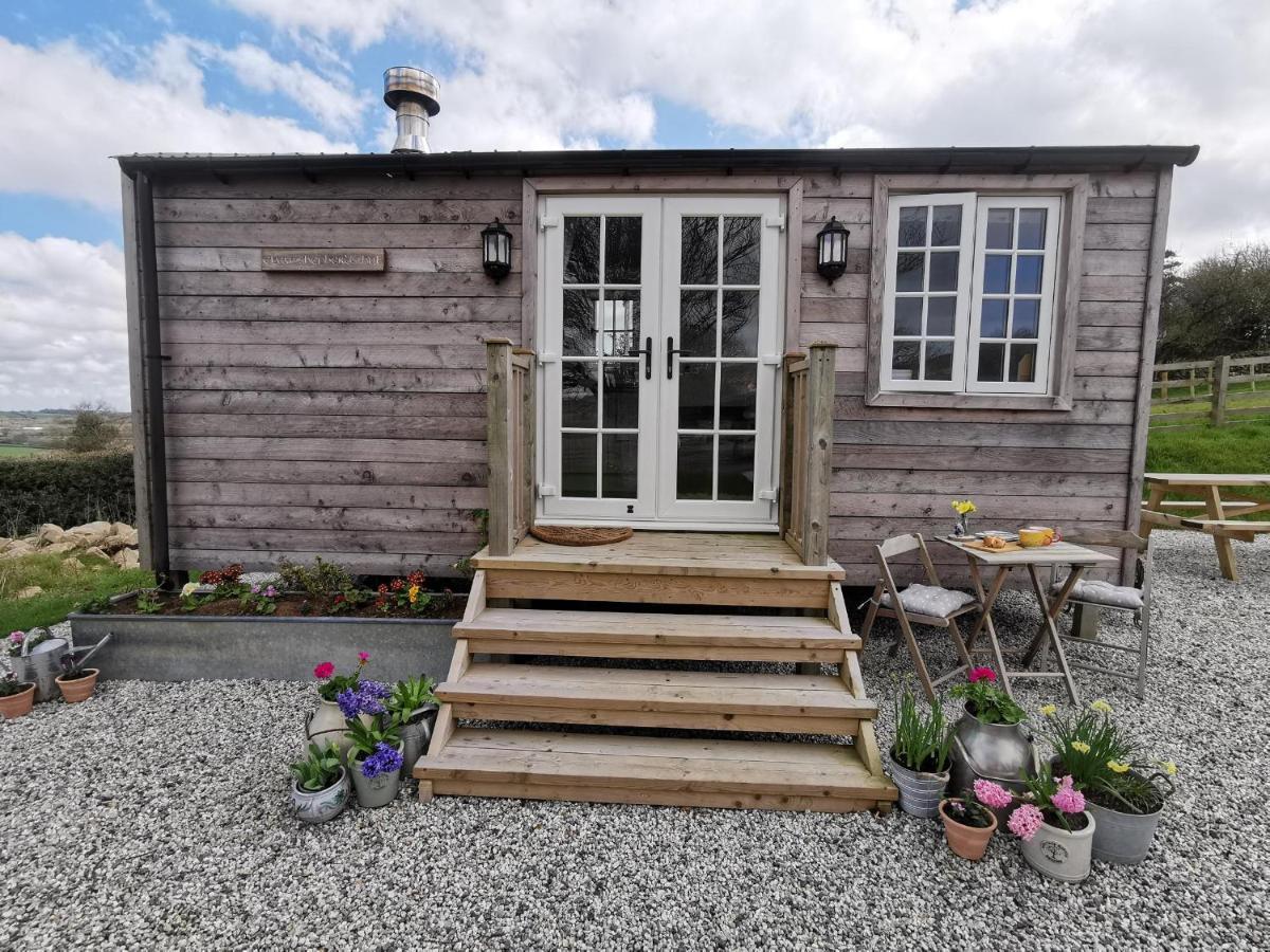 Вілла Elvan Farm Shepherd'S Hut Ексетер Екстер'єр фото