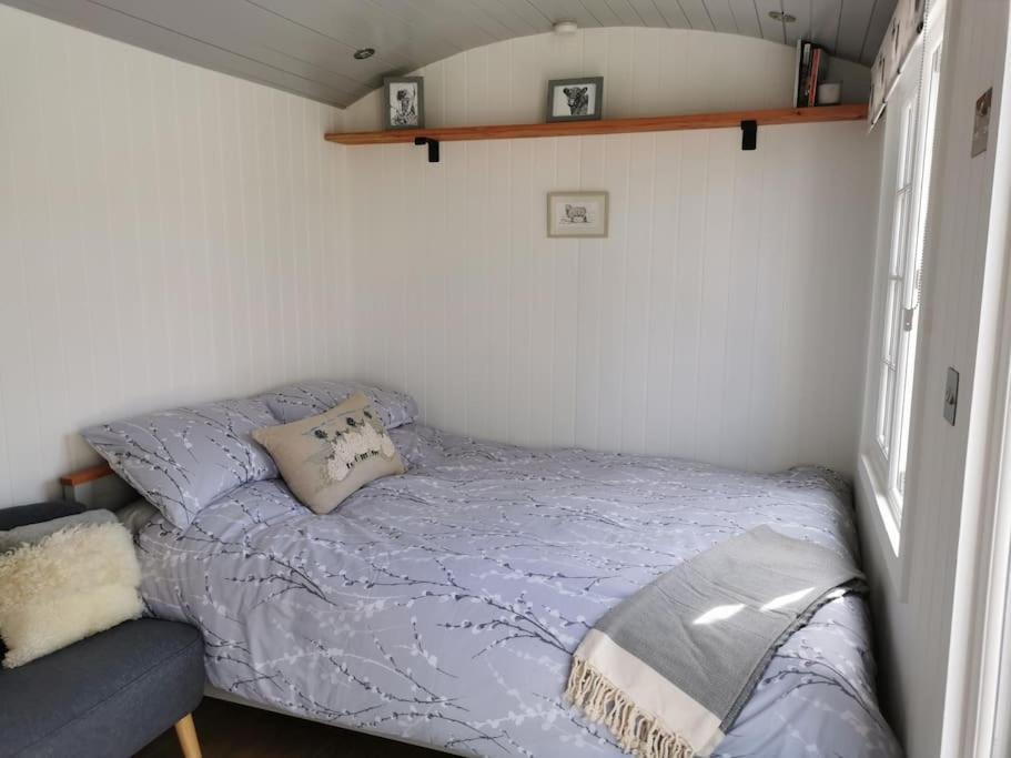 Вілла Elvan Farm Shepherd'S Hut Ексетер Екстер'єр фото