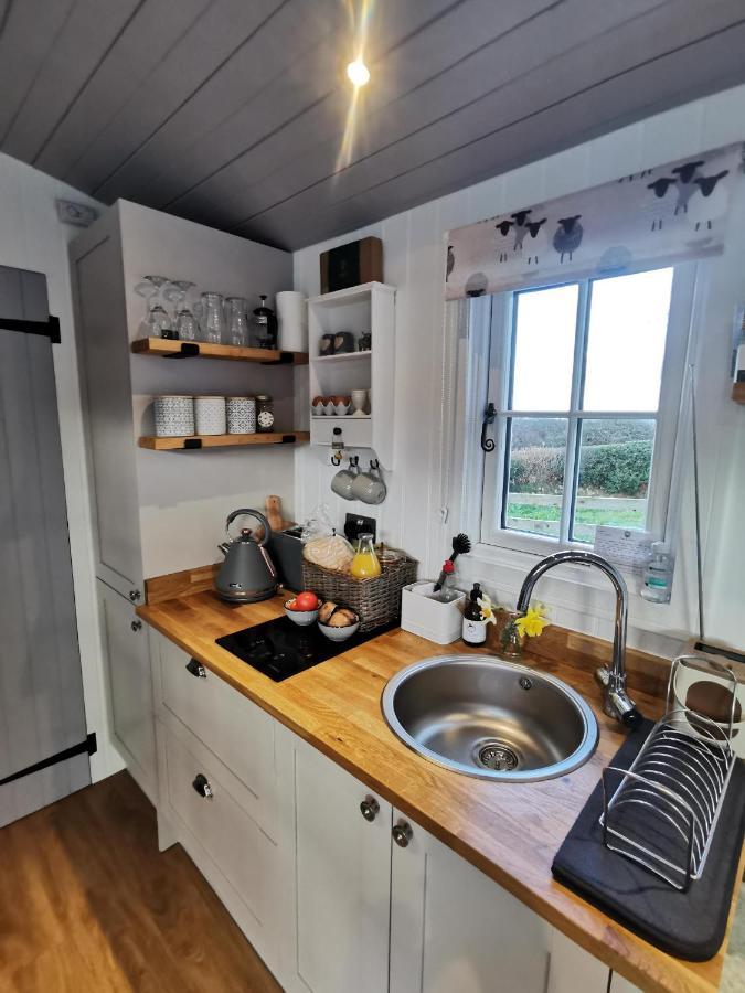 Вілла Elvan Farm Shepherd'S Hut Ексетер Екстер'єр фото