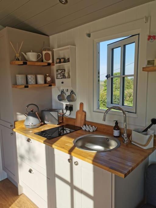 Вілла Elvan Farm Shepherd'S Hut Ексетер Екстер'єр фото